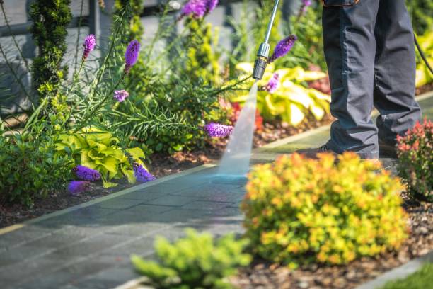 Reliable Woodville, FL Pressure Washing Services Solutions