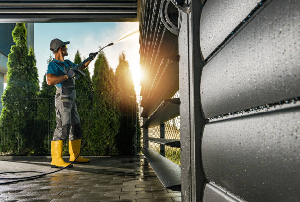 Best Sidewalk and Walkway Cleaning  in Woodville, FL