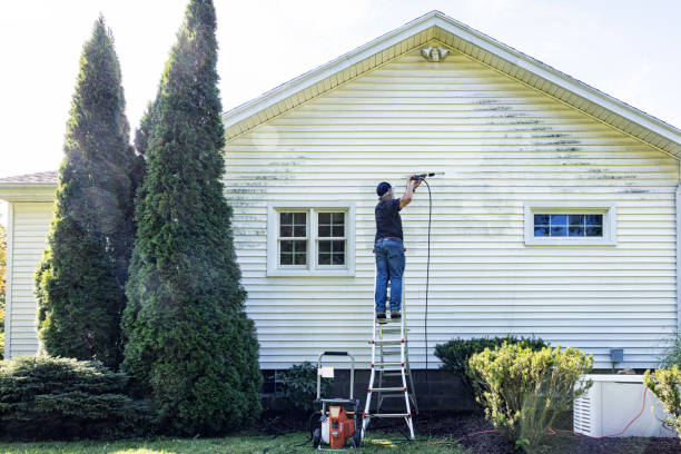 Best Patio and Deck Pressure Washing  in Woodville, FL