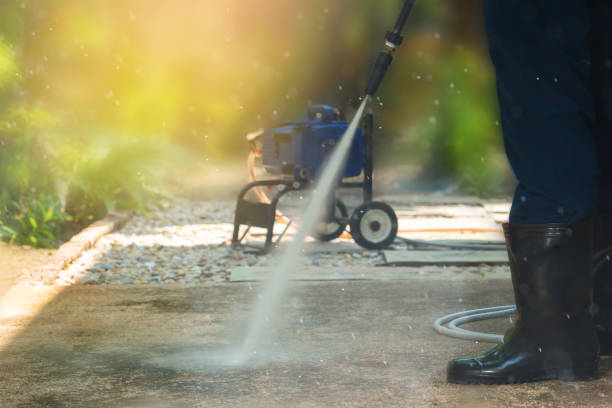 Best Roof Washing  in Woodville, FL